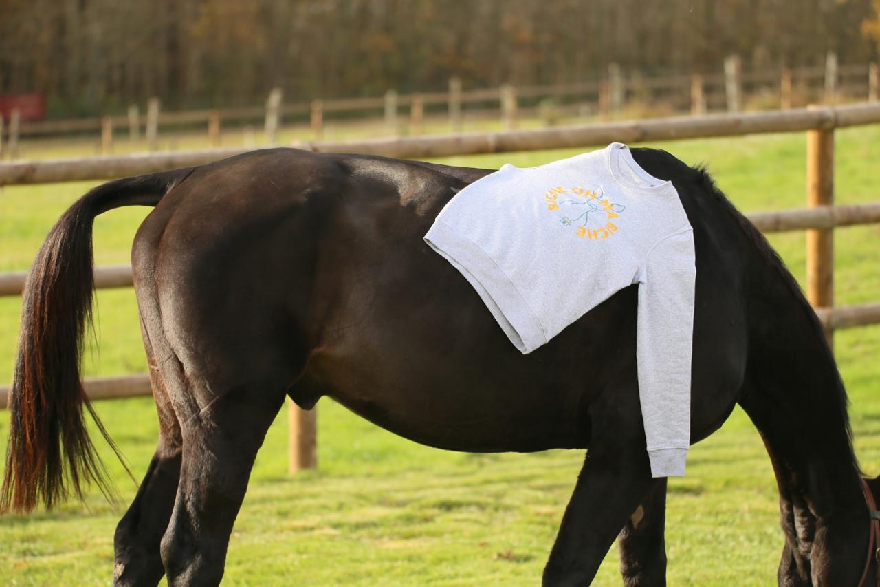 SWEATY - BICHE OH MA BICHE