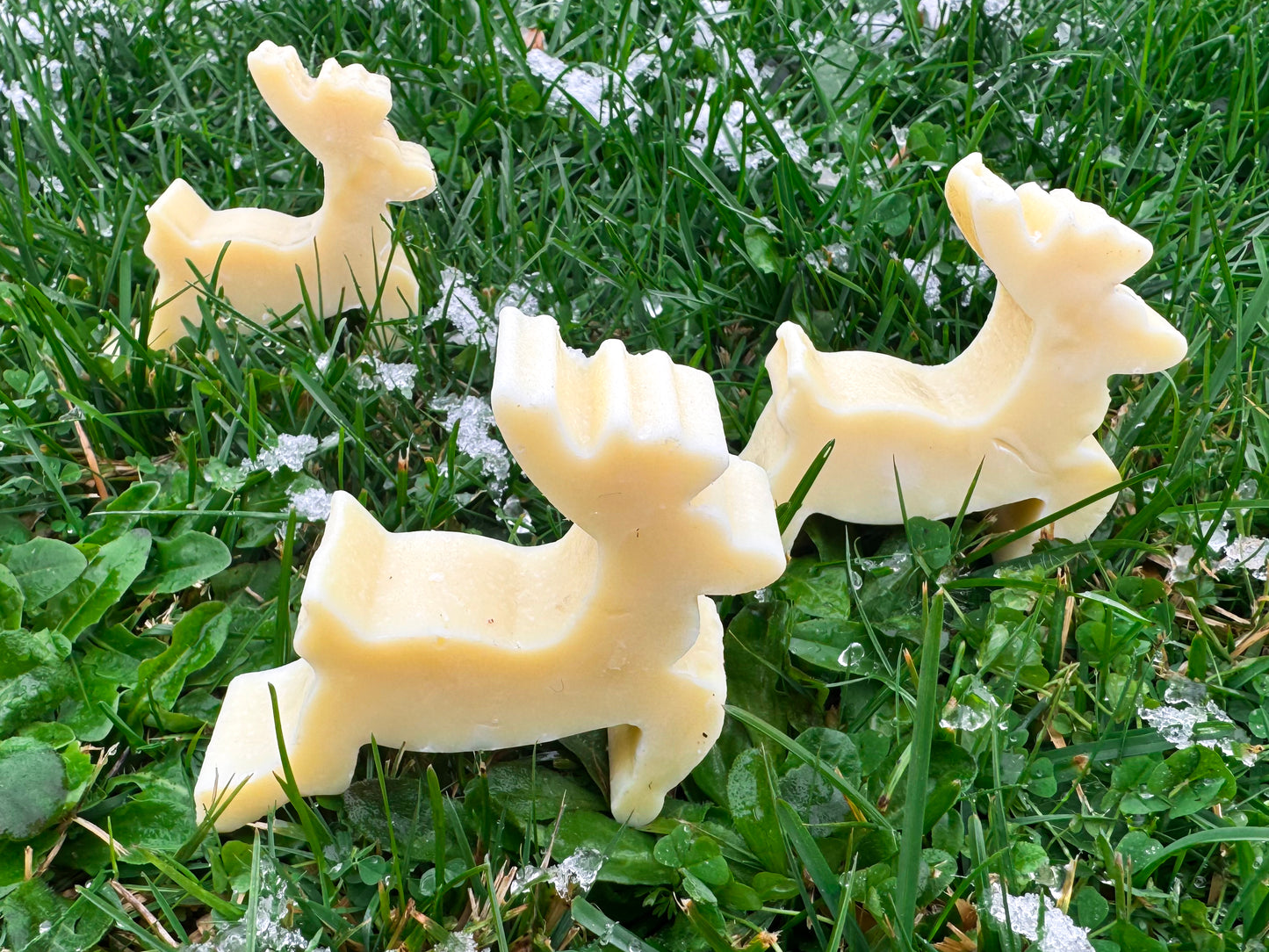 SAVON - MON CŒUR CE CERF